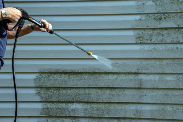 Best House Exterior Washing  in Passapatanzy, VA